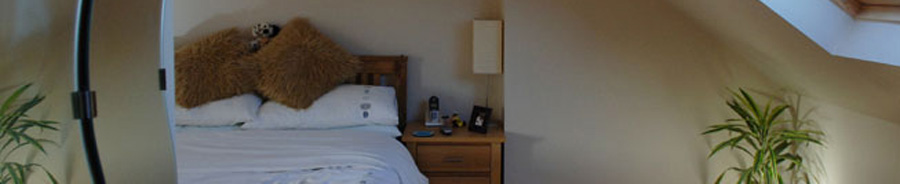 Bed and plant in loft conversion